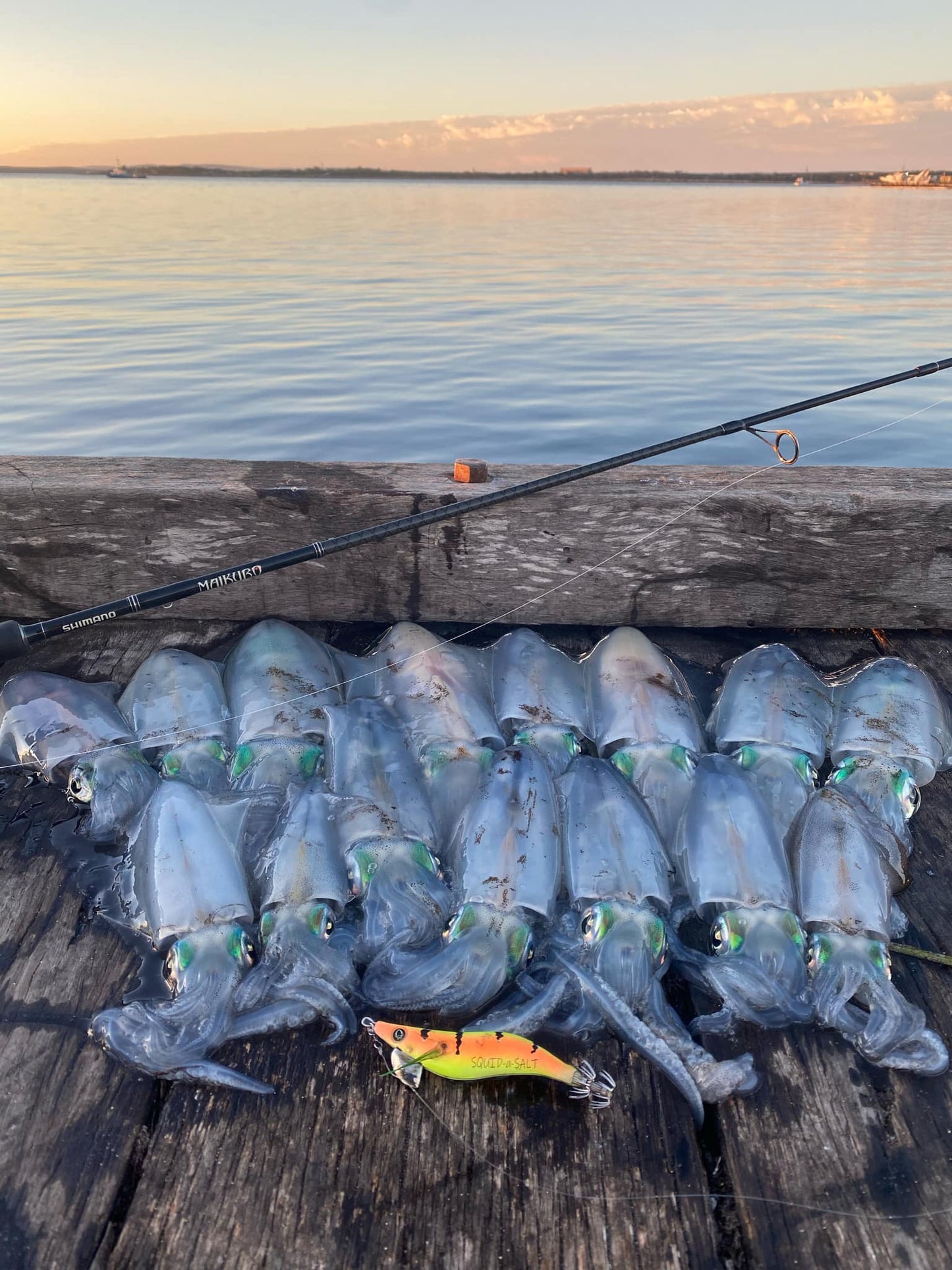 SQUID-a-SALT Calypso Ninja Jig