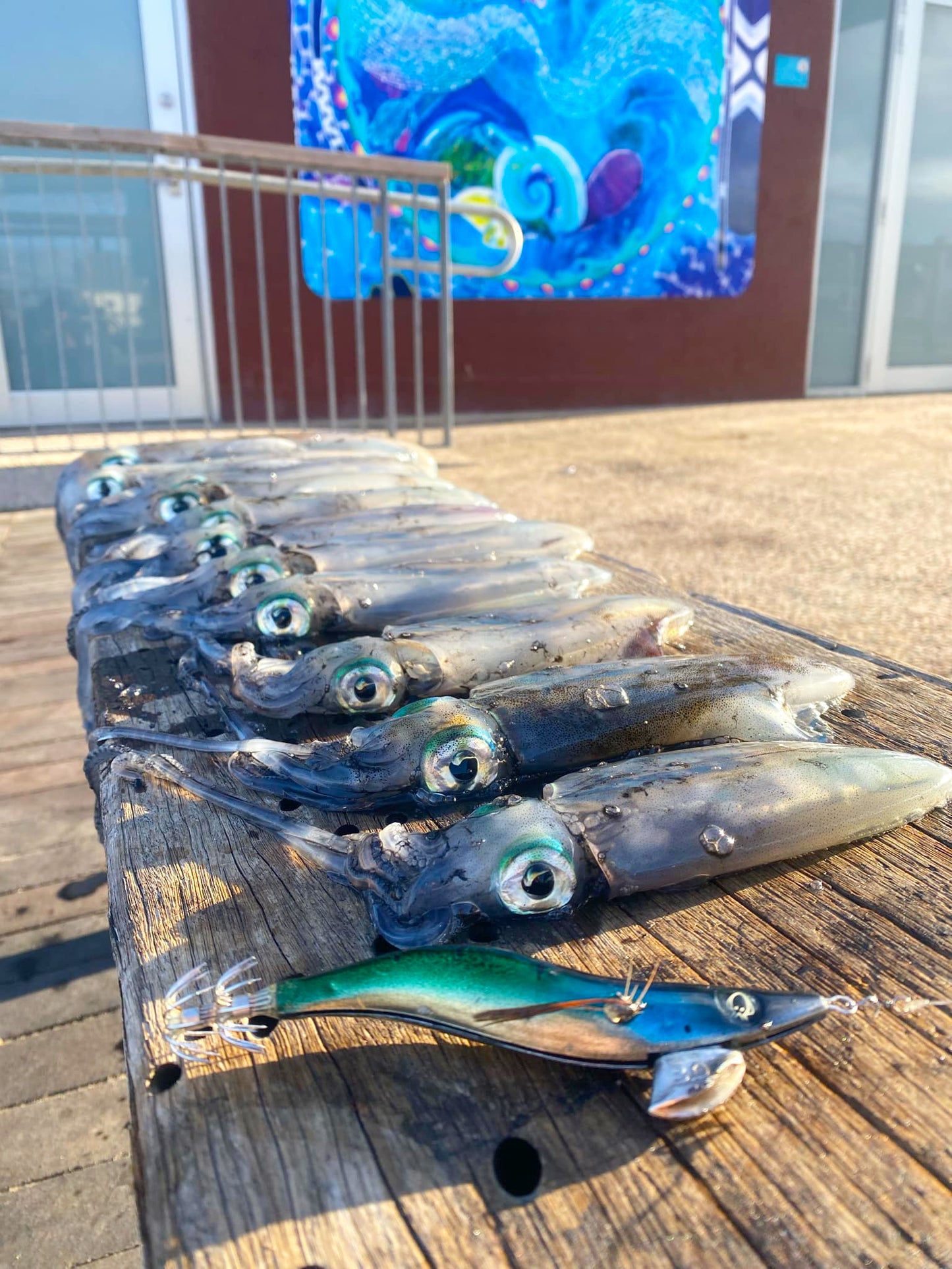 SQUID-a-SALT The Pilchard Jig