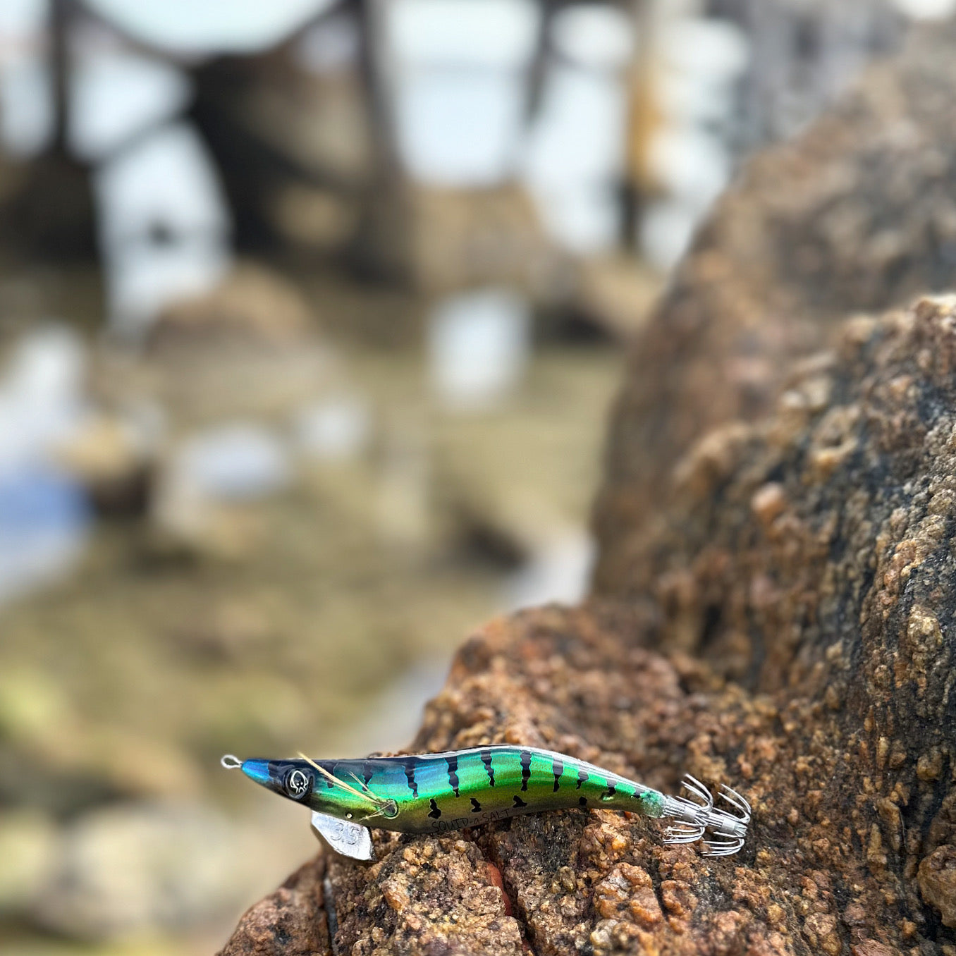 SQUID-a-SALT The Pilchard Jig