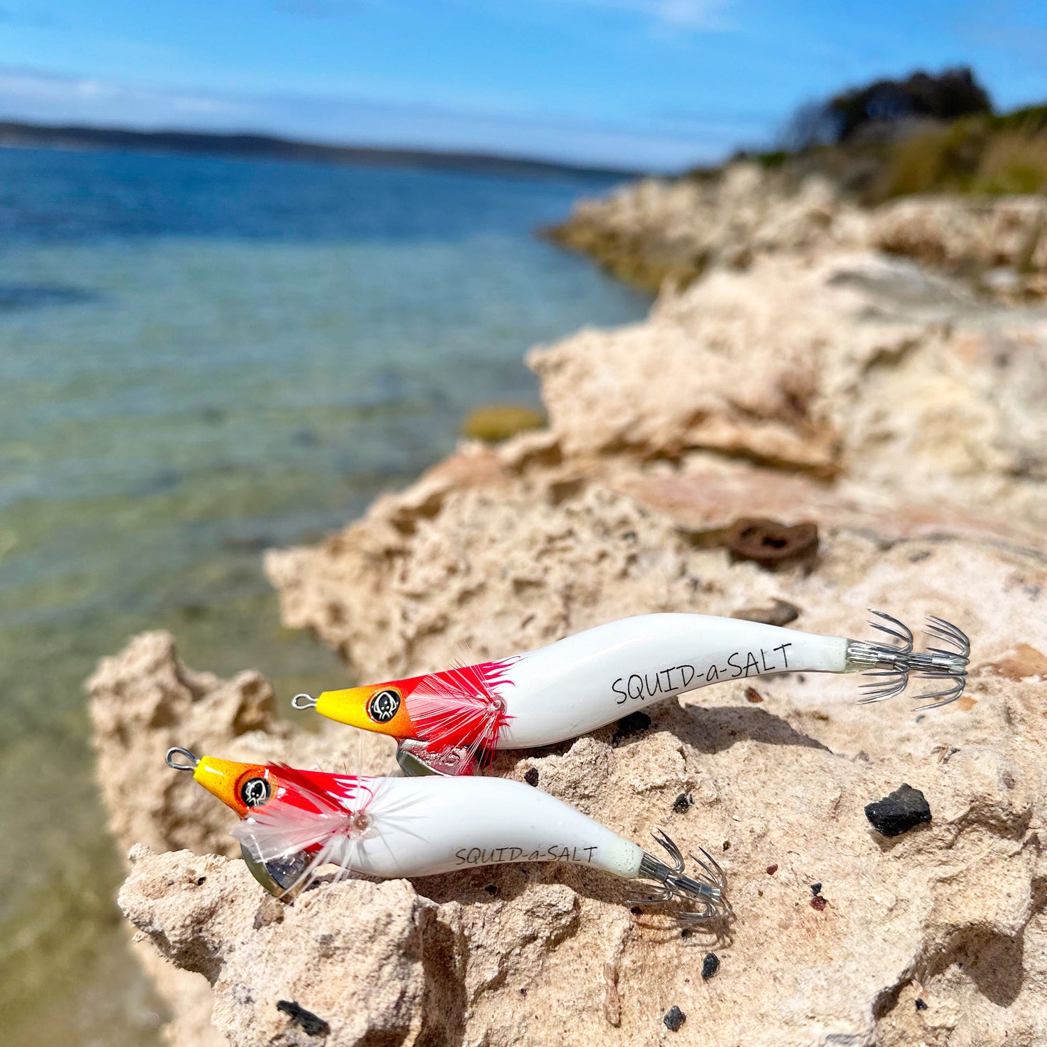 Squid Jigs