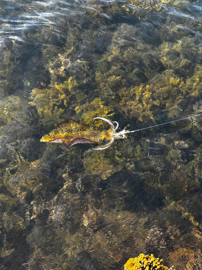 SQUID-a-SALT Squid Sleigher Jig