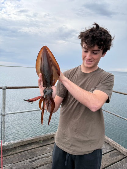 Squid-a-Salt Coral Carly Jig (Cloth)