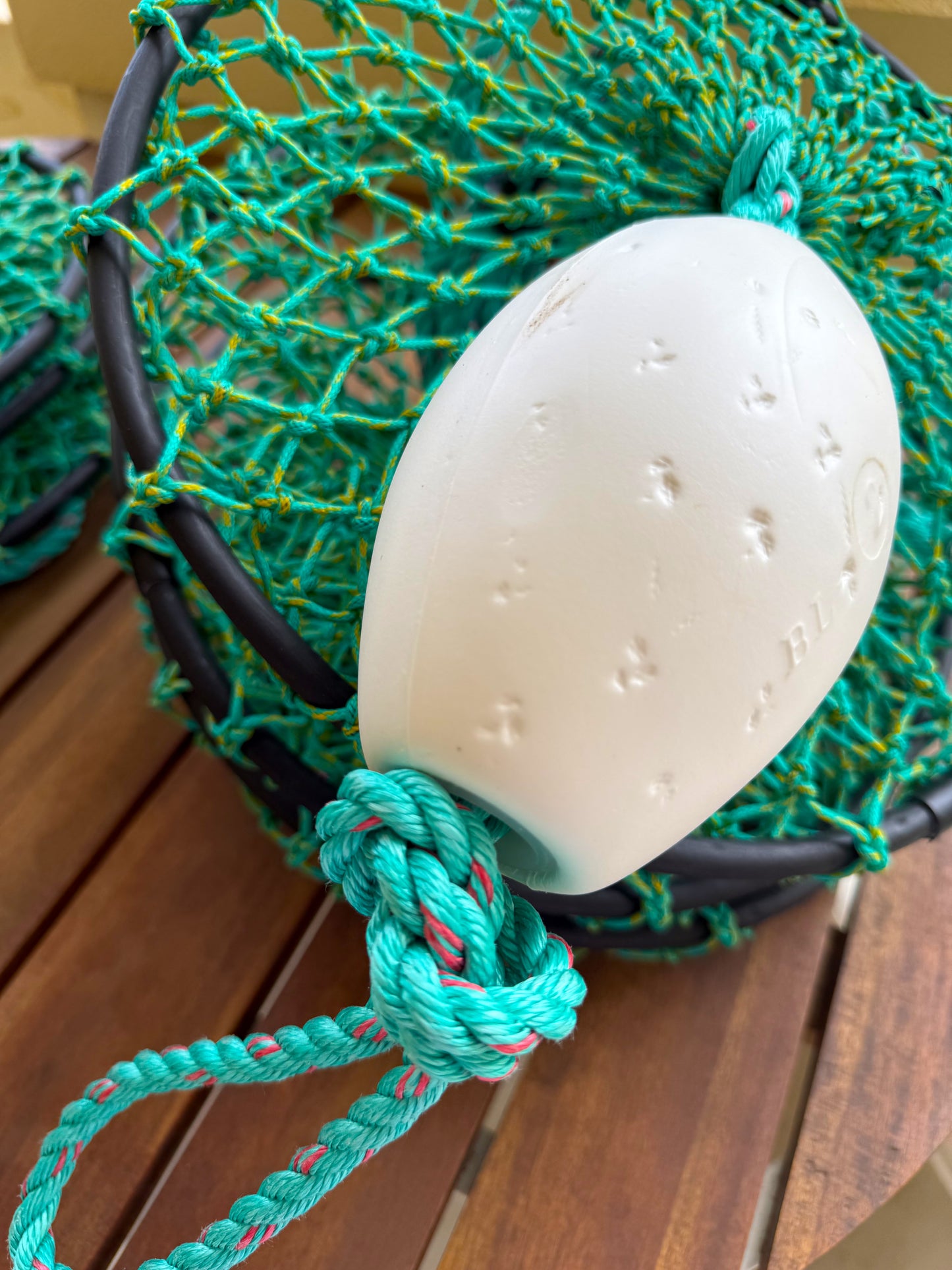 Cyclone Scaling Bags