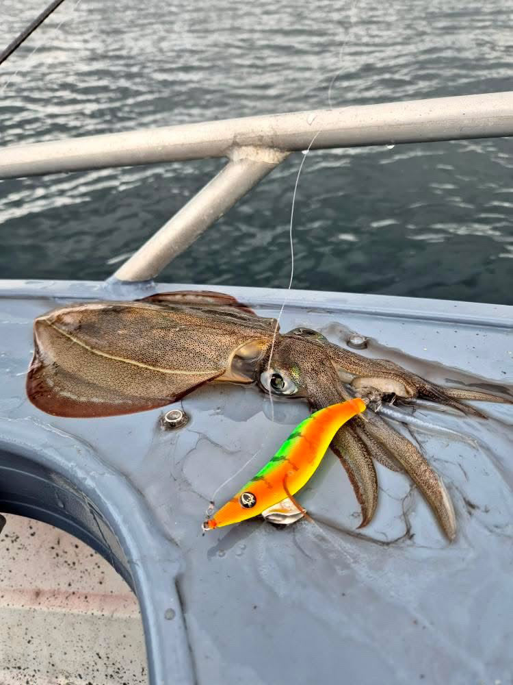 SQUID-a-SALT Calypso Ninja Jig (Cloth)