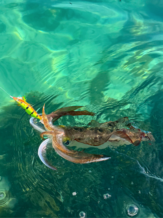 SQUID-a-SALT Calypso Ninja Jig