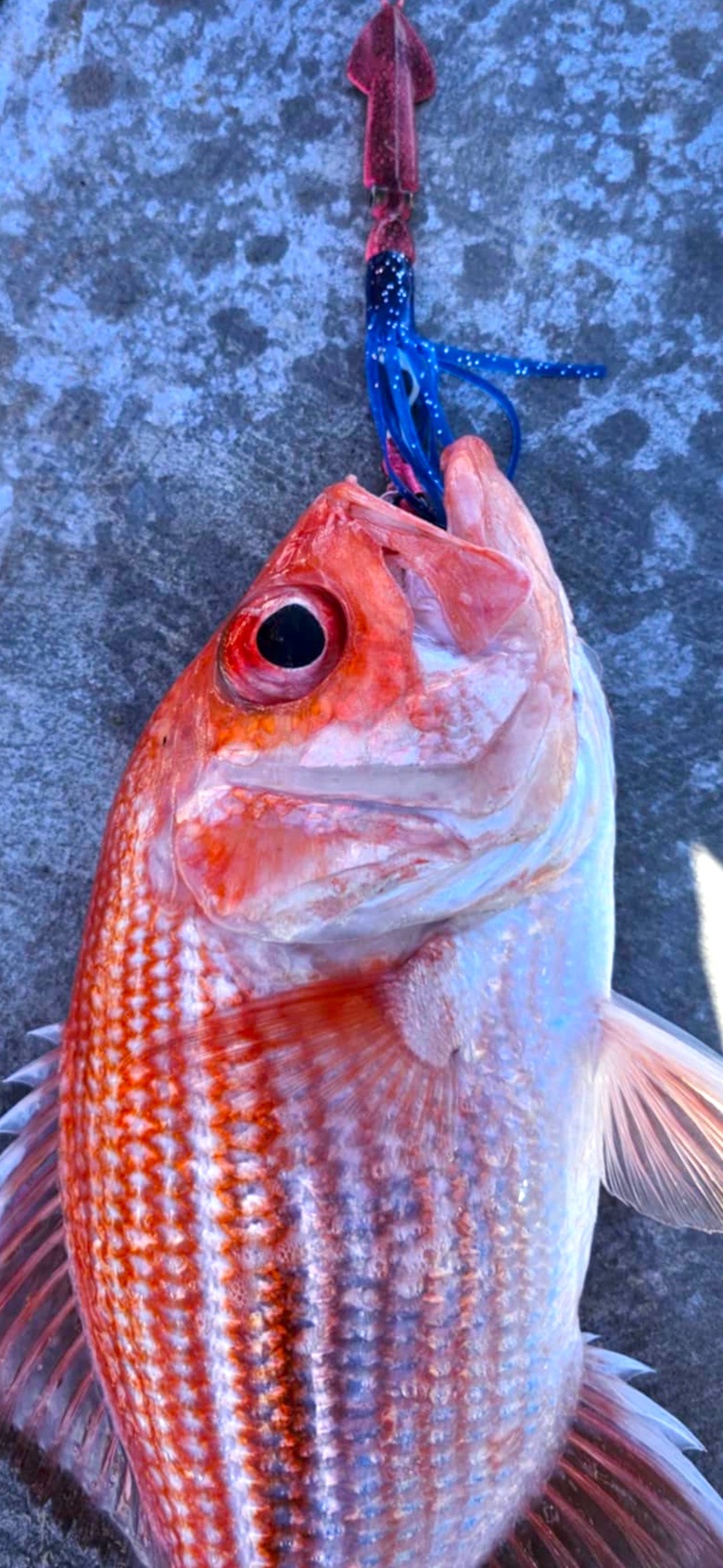 The Hybrid Squid Lure