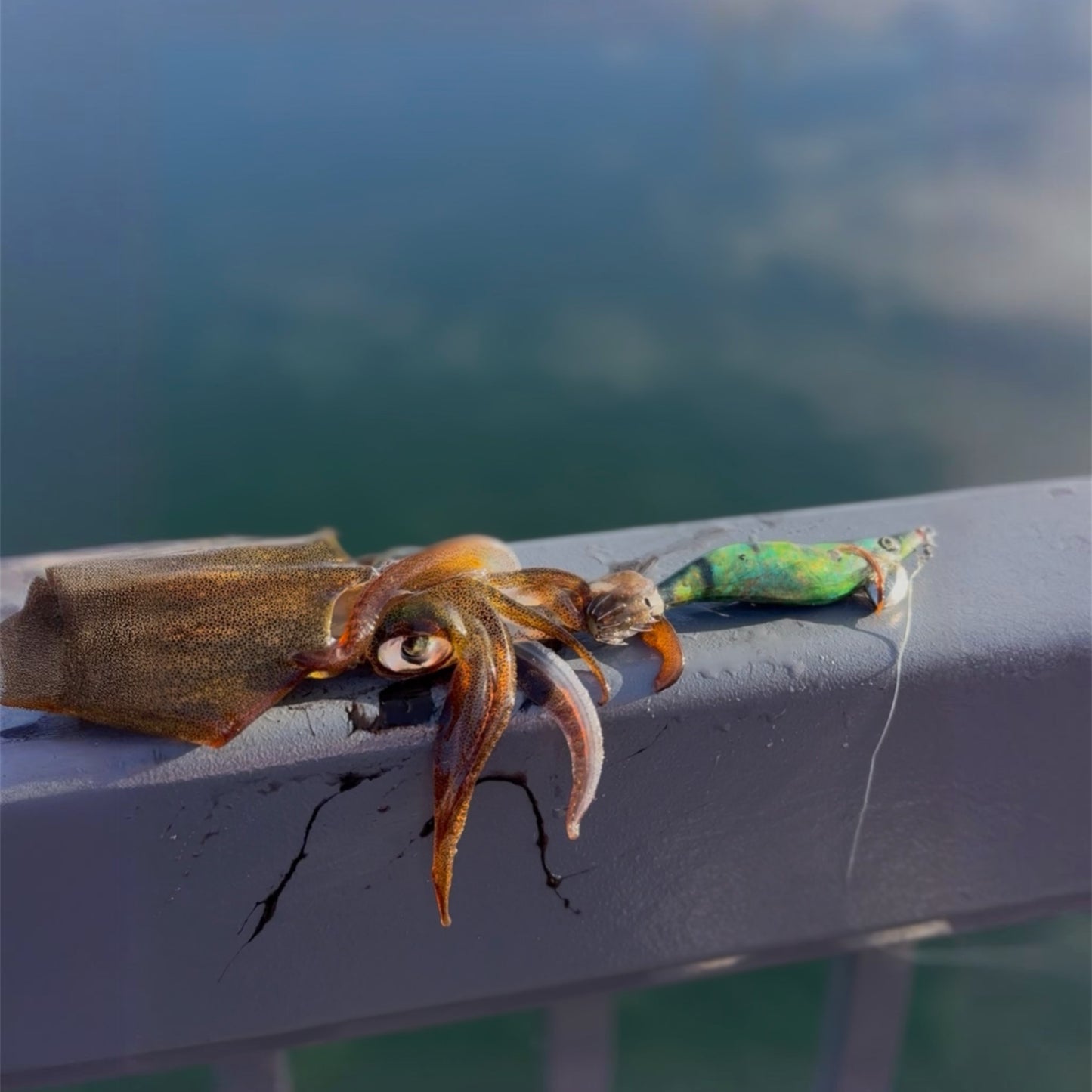 SQUID-a-SALT Weedy Warrior Jig (Cloth)