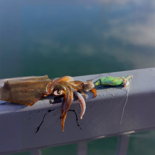 SQUID-a-SALT Weedy Warrior Jig (Cloth)